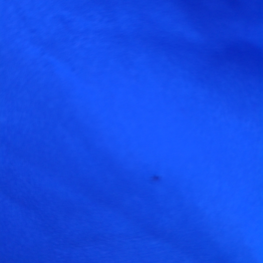3/$25 Torrid Cobalt Blue V-Neck Flutter Sleeve Blouse - Picture 3 of 4